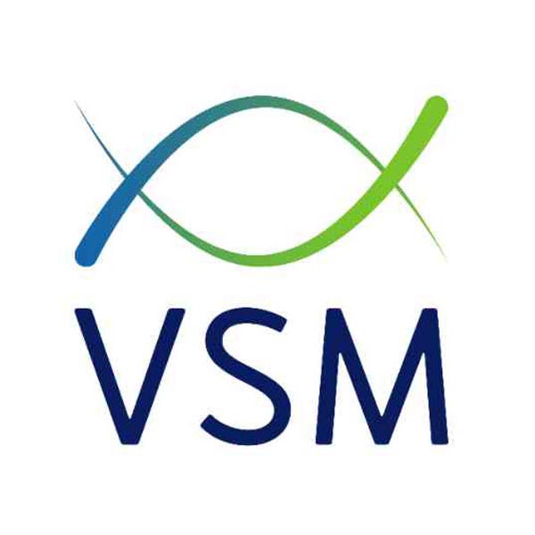 v s m